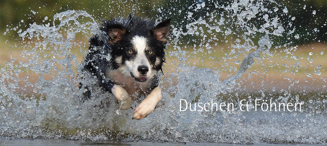 Hundesalon Doggystyle - Waschen und Föhnen